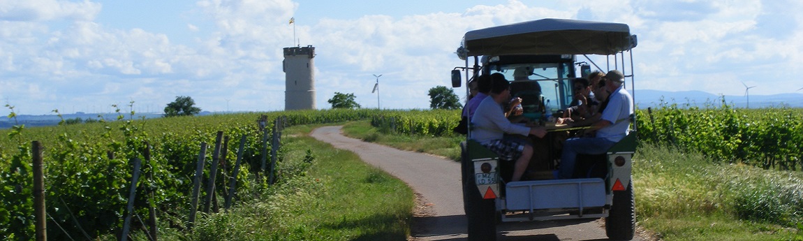 Weinbergsrundfahrt01